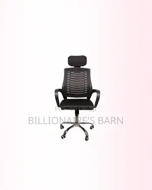 Secretarial Mesh Chair Adjustable Headrest and Lumbar Support Office