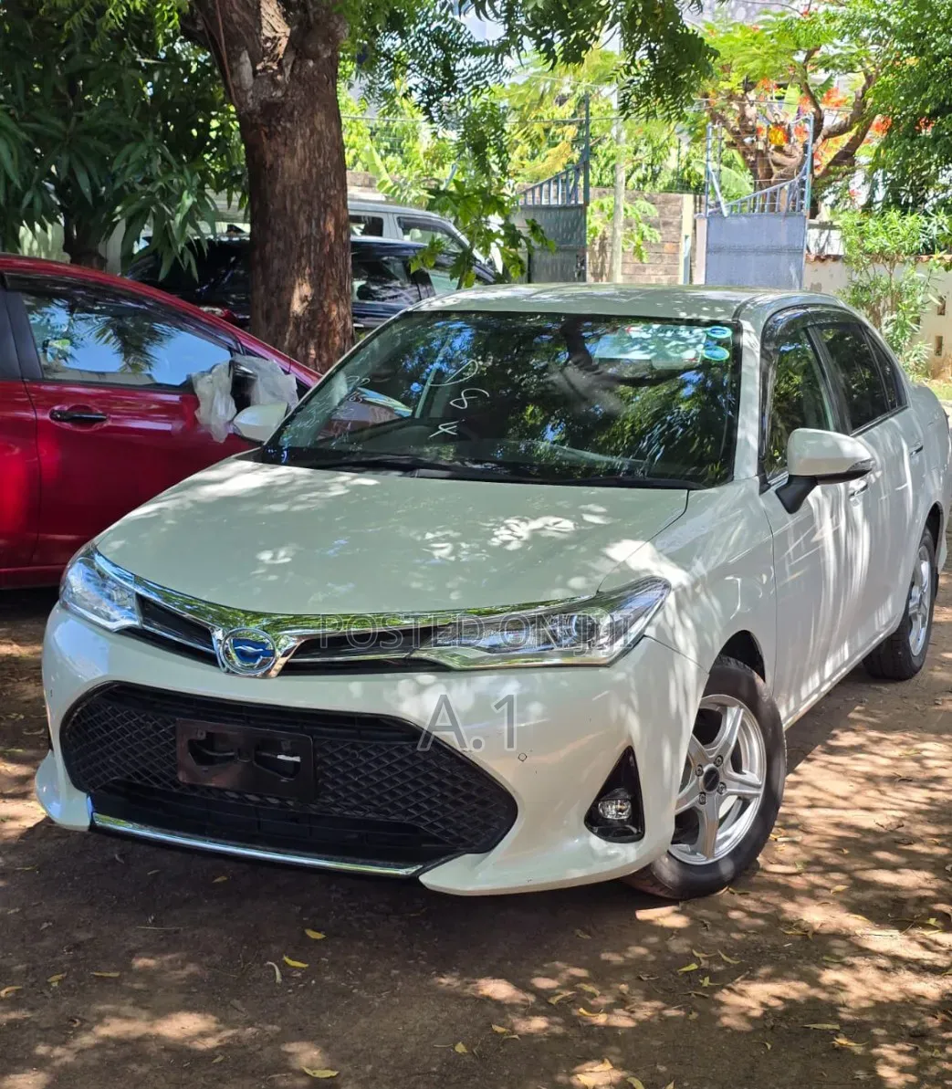 Toyota Axio 1.5 Hybrid G 2WD 2019 Pearl