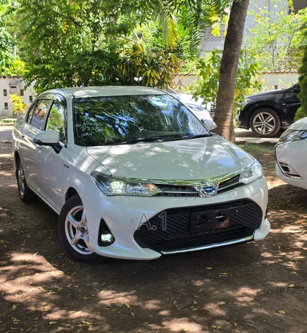 Toyota Axio 1.5 Hybrid G 2WD 2019 Pearl