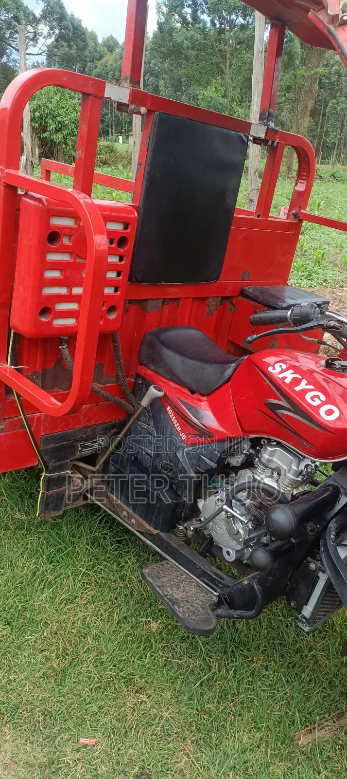 Skygo 2020 Red
