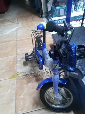 Highly Recommend 12 Inch Bicycle