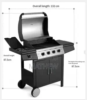 Bbq Grill Gas