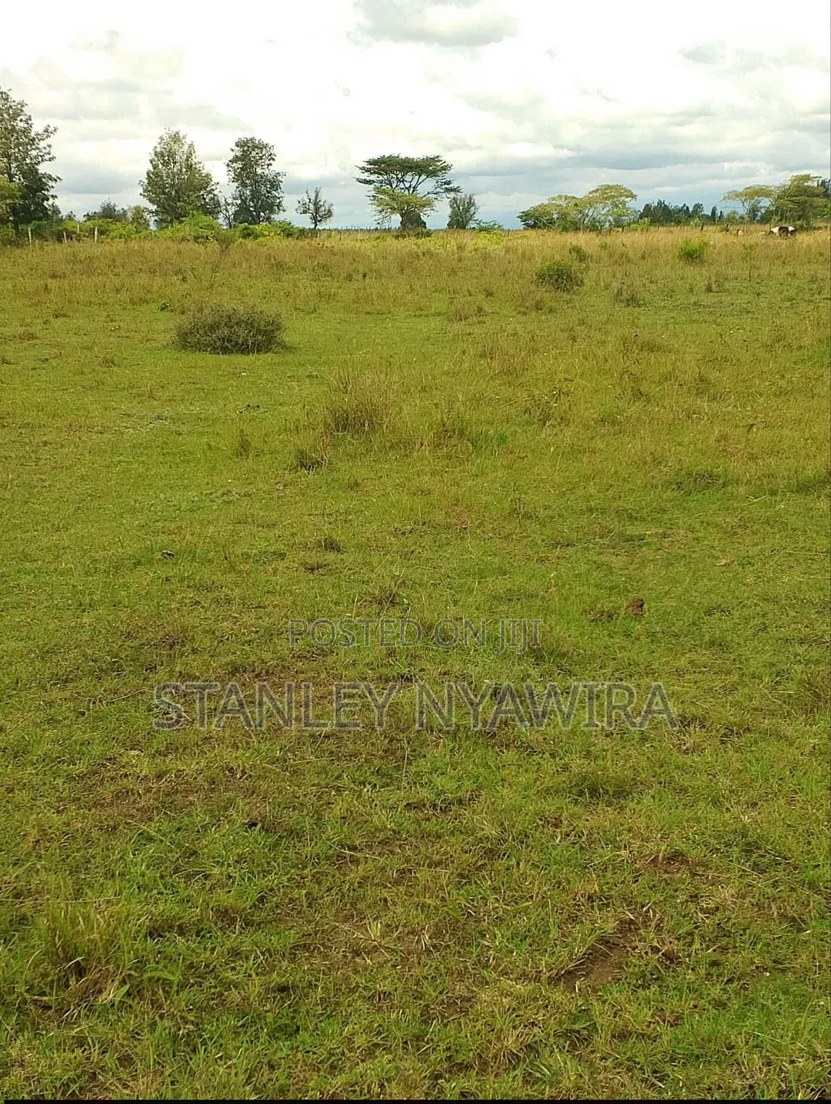 4 Acres Nanyuki Nyeri Highway