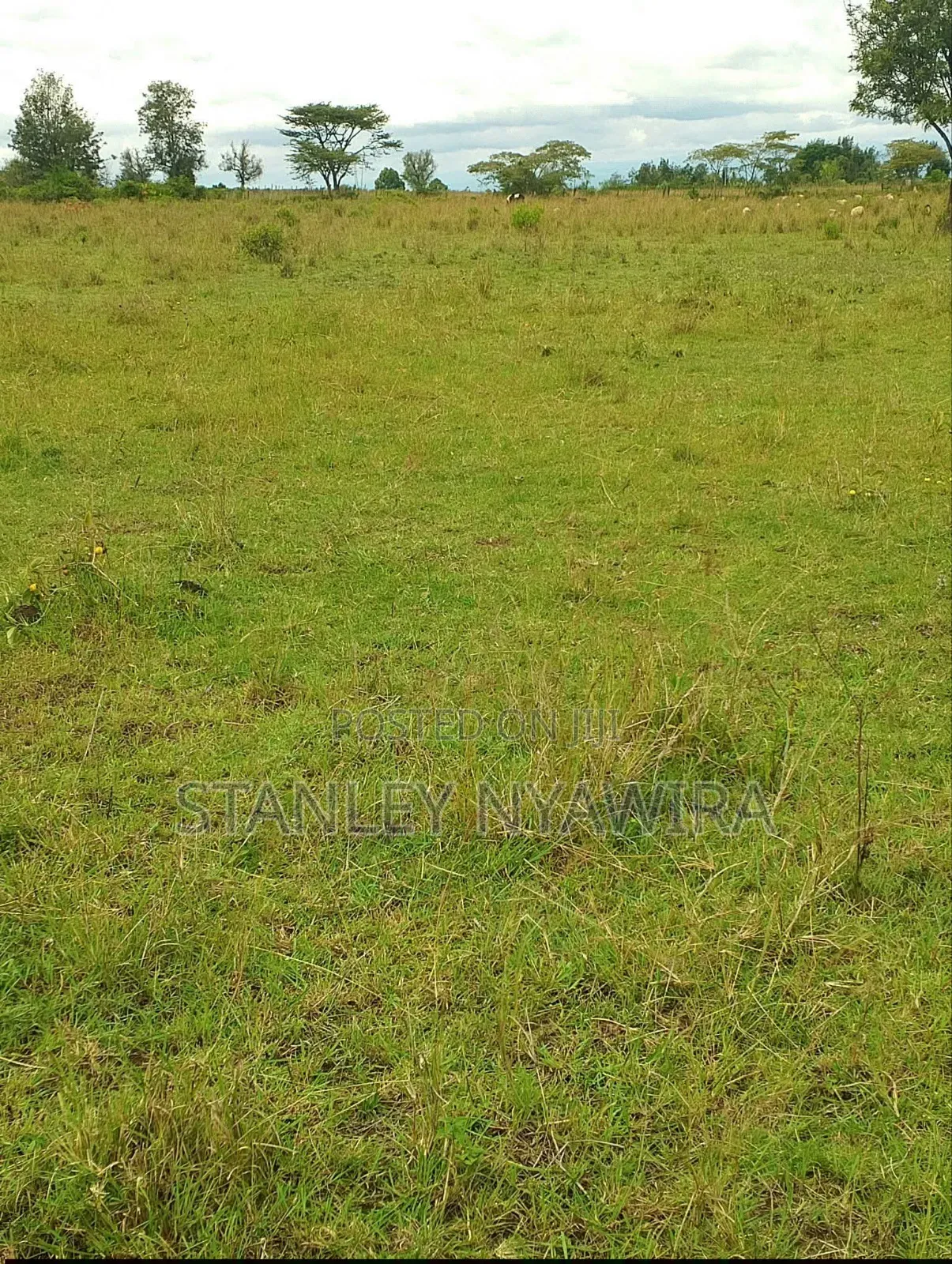 4 Acres Nanyuki Nyeri Highway