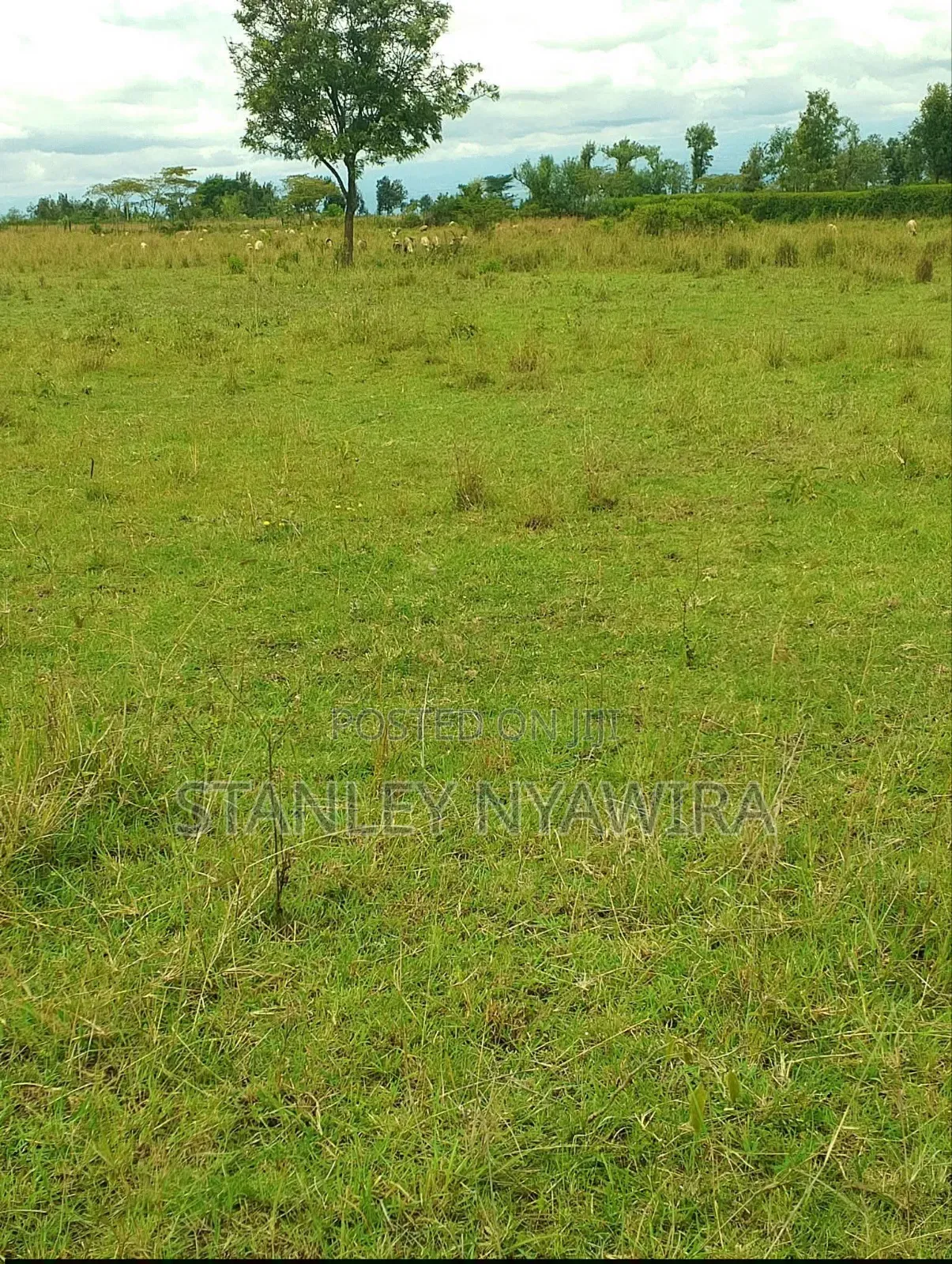4 Acres Nanyuki Nyeri Highway