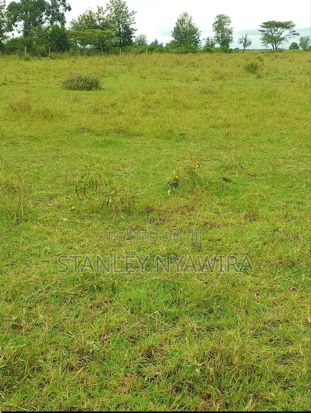 4 Acres Nanyuki Nyeri Highway