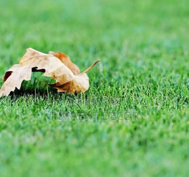 Space Elevation With Artificial Green Grass Carpet