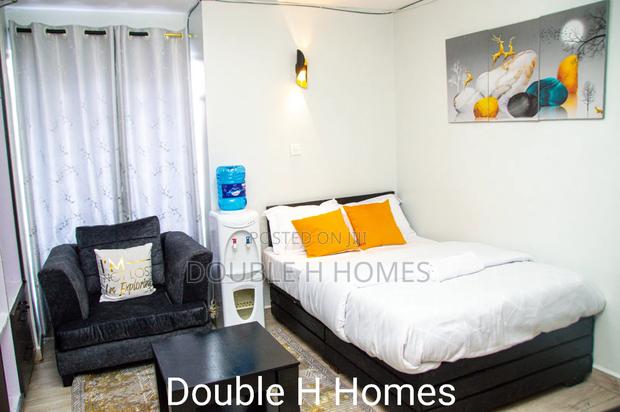 Furnished Airbnb Studio Apartment At Sosian Gate B 9th Avenue - thumbnail 5