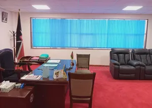 Amazing Window Blinds
