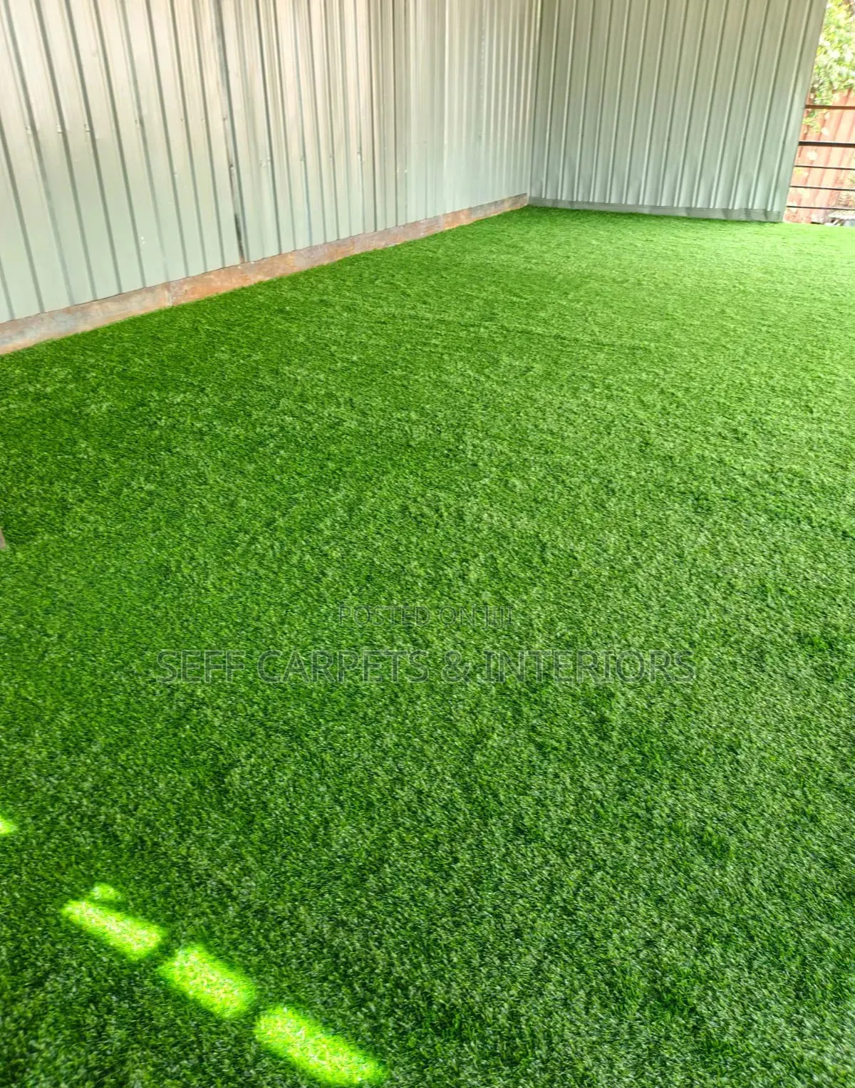 Good Looking Grass Crapets