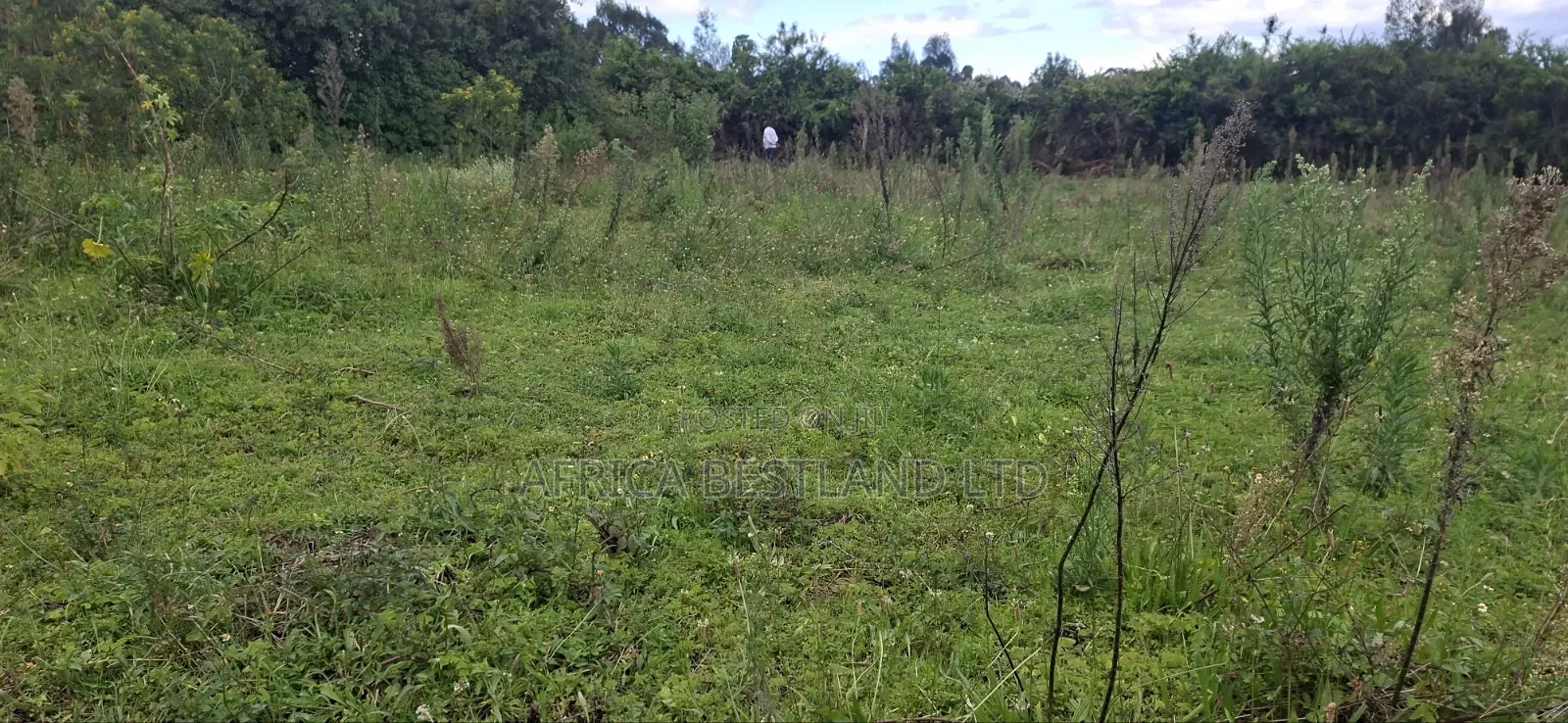1 Acre Prime Land for Sale – Cokereria, Gilgil (Nakuru Count