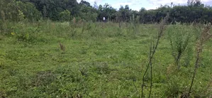 1 Acre Prime Land for Sale – Cokereria, Gilgil (Nakuru Count