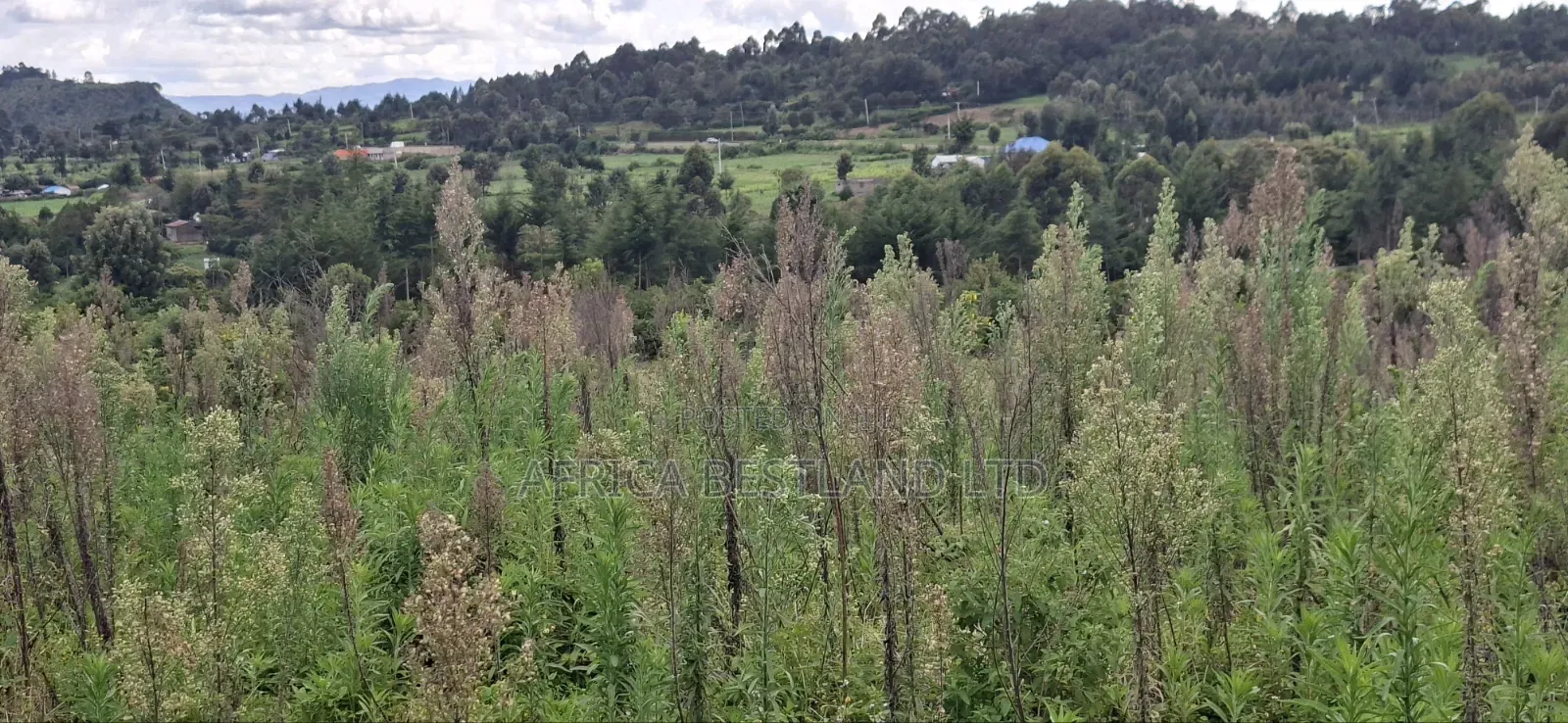 1 Acre Prime Land for Sale – Cokereria, Gilgil (Nakuru Count