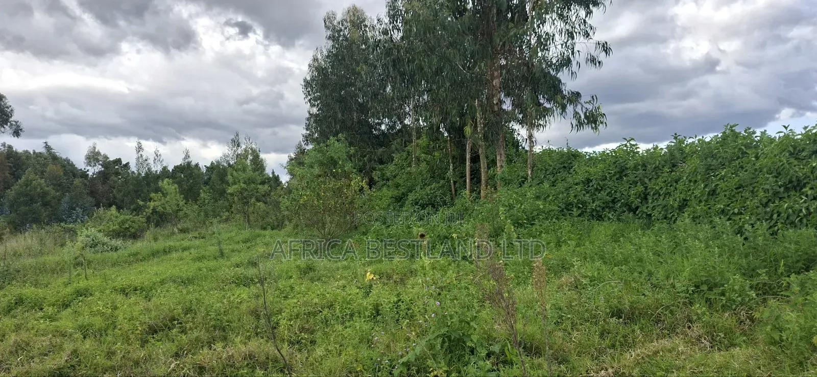1 Acre Prime Land for Sale – Cokereria, Gilgil (Nakuru Count