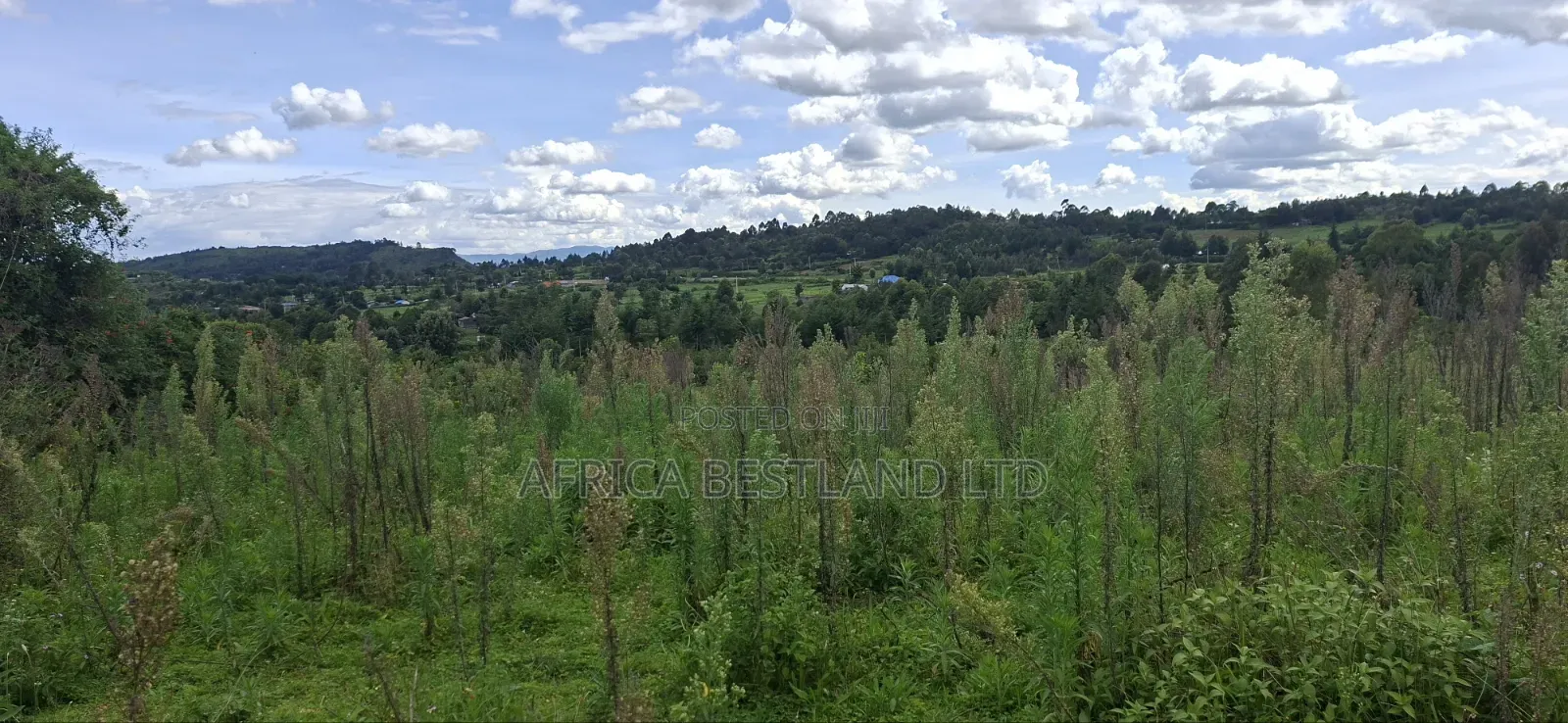 1 Acre Prime Land for Sale – Cokereria, Gilgil (Nakuru Count