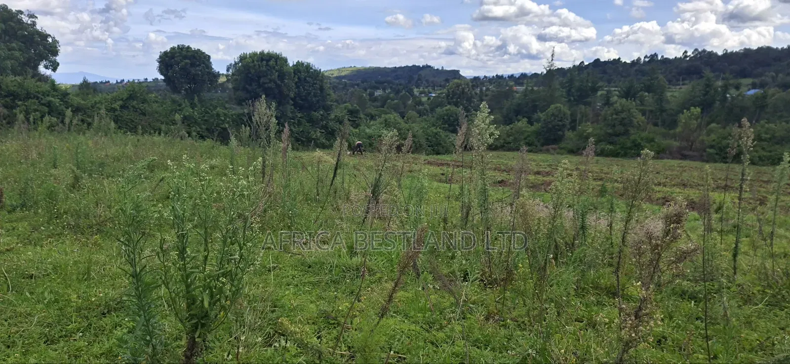 1 Acre Prime Land for Sale – Cokereria, Gilgil (Nakuru Count