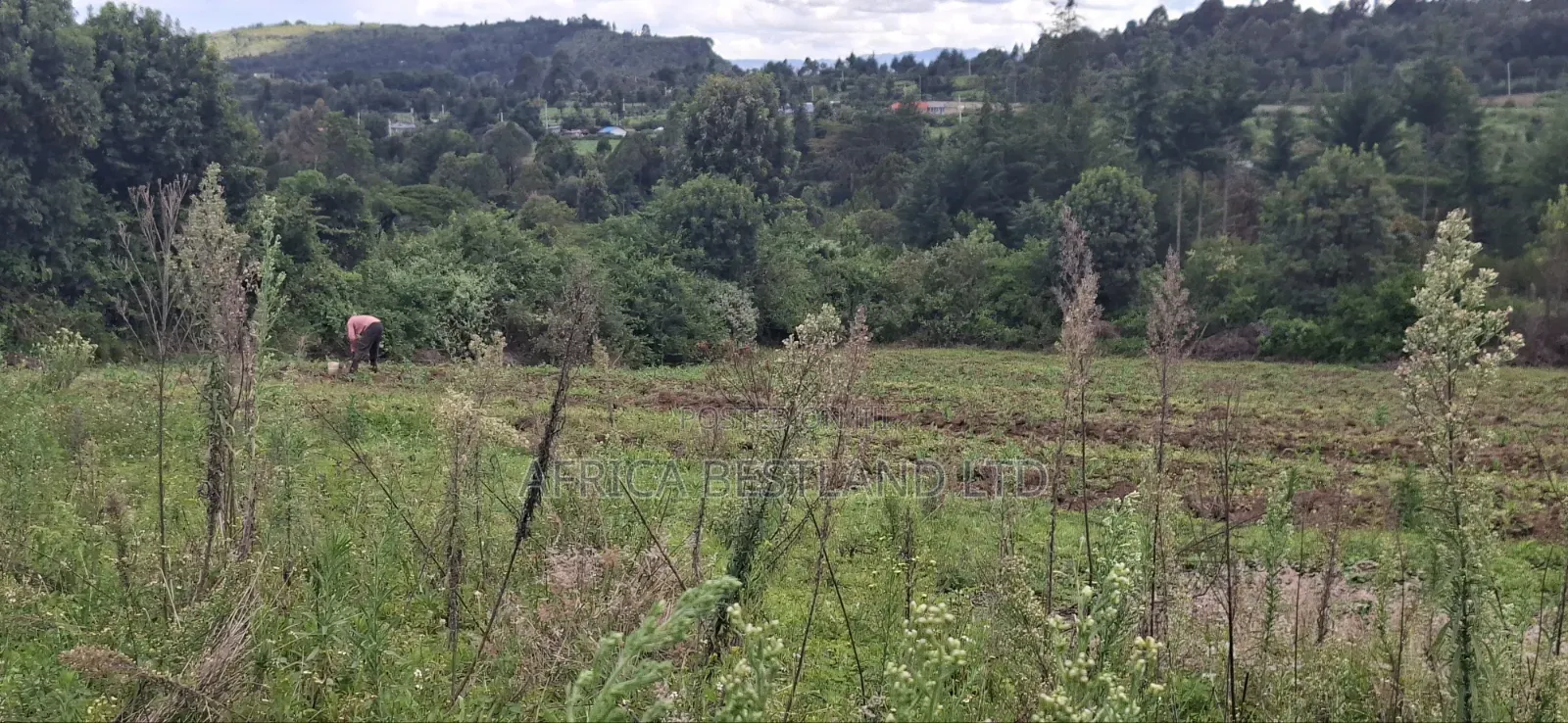1 Acre Prime Land for Sale – Cokereria, Gilgil (Nakuru Count