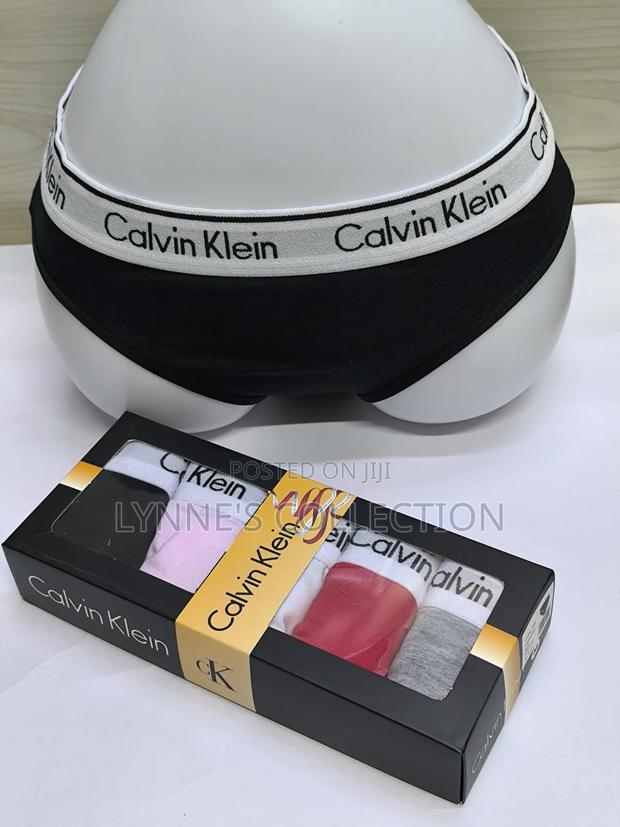 5 Calvin Klein Panties - thumbnail 3