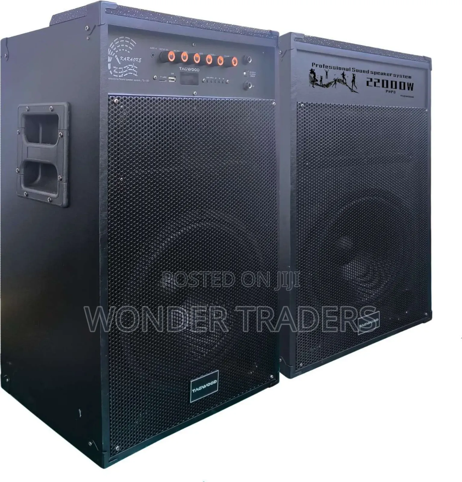 *Tagwood 12d *
Comes as a Pair 
Has Two Microphones