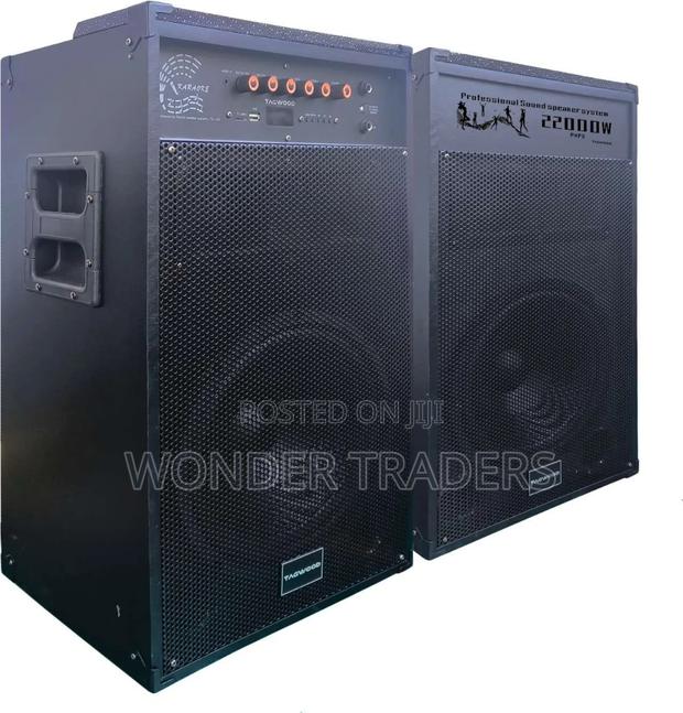 *Tagwood 12d *
Comes as a Pair 
Has Two Microphones