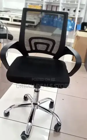Assembled Executive Modern Office Chair