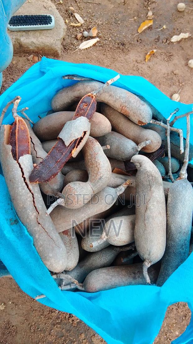 Tamarind Fruit