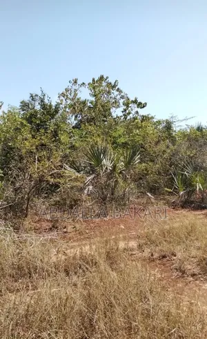 Prime Beach Plot