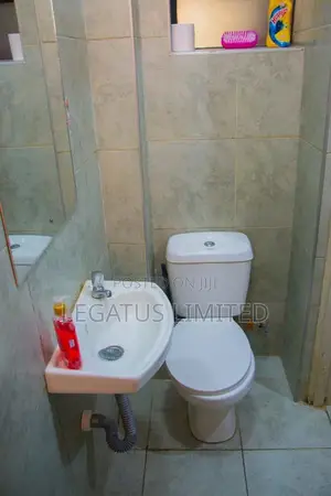 Furnished Studio Laiser Hill, Ongata Rongai - Legatus Cozy Homes