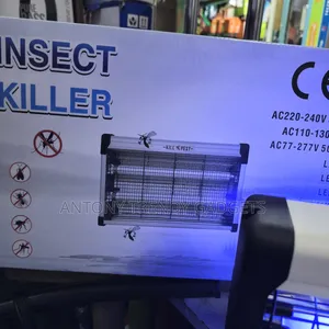 Fly Cather, Insecr Killer, Fly