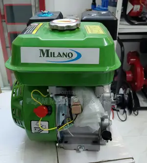 Ml200 Milano Italia Petrol Engine 8hp With Pulley