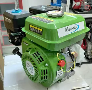 Ml200 Milano Italia Petrol Engine 8hp With Pulley
