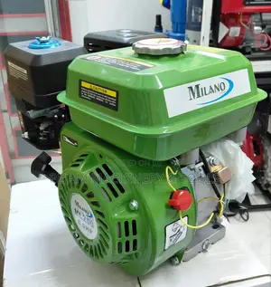 Ml200 Milano Italia Petrol Engine 8hp With Pulley