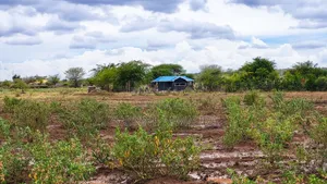 Land for Sale in Loitoktok