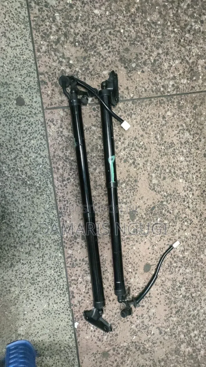 Harrier New Boot Shock 2015-2019