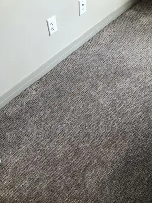 Delta Wall to Wall Carpet for Home, Office and Full Floor Covering
