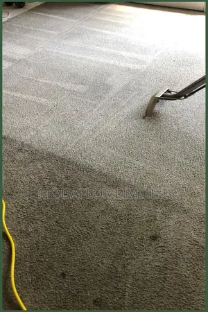 Delta Carpet for Full Coverage Flooring and Interior Comfort Use