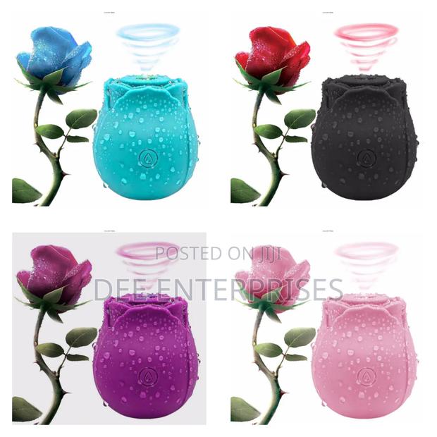 Rose Toys Vibrators - main view