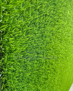 Grass Carpet for Modern Outdoor and Indoor Floor Decoration