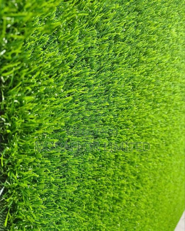 Grass Carpet for Modern Outdoor and Indoor Floor Decoration