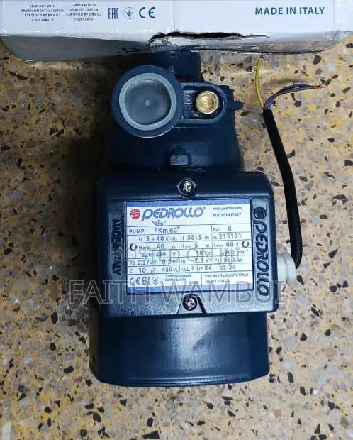 0.5hp Pedrollo Water Pump/40 Meter Water Pump - main view