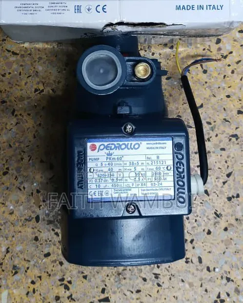 0.5hp Pedrollo Water Pump/40 Meter Water Pump