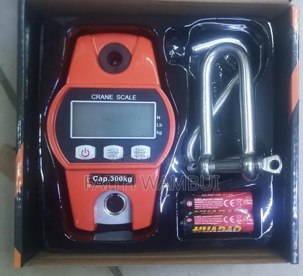 300 Kg Portable Crane Scale Weighing Machine/Professional Scale - main view