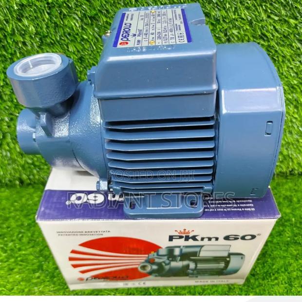 Pedrollo Water Pump