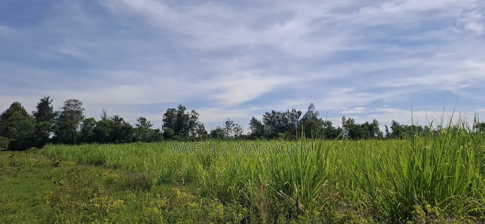 4 Acres Kamolo After Malaba
