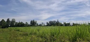 4 Acres Kamolo After Malaba
