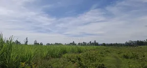 4 Acres Kamolo After Malaba