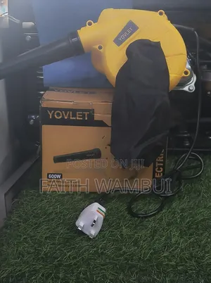 600 Watts Professional Yovlet Electric Blower 2 in 1