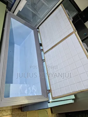 Hard Top 2 Doors Freezer