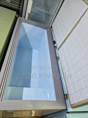 Hard Top 2 Doors Freezer
