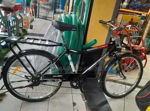 Raleigh Size 26 Black Mamba Bike